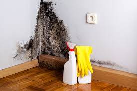 Best Industrial Mold Remediation  in Clairton, PA